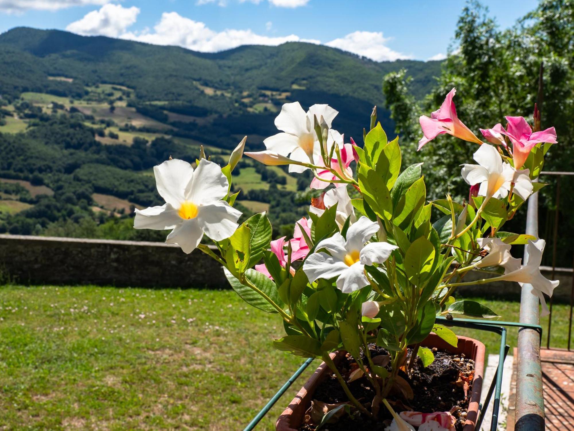 Agriturismo Villaggio Eden Pieve Santo Stefano Exteriér fotografie